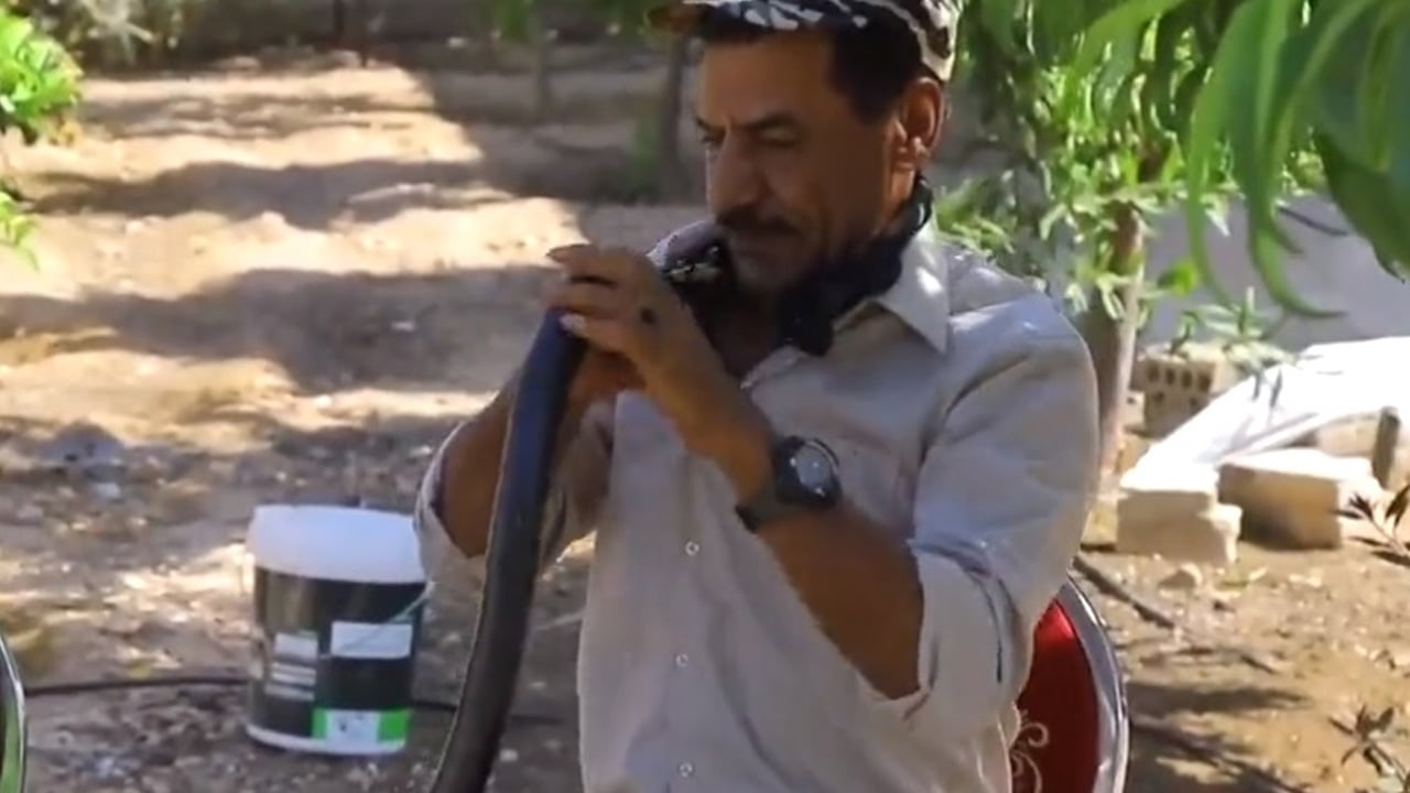 صائد أفاعٍ يحذر: القتل الجائر للأنواع غير السامة يهدد حياة الإنسان
