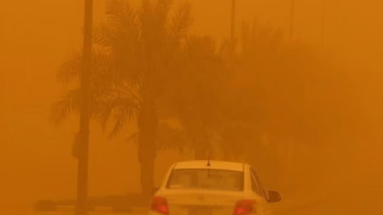 خبير: قلة الأمطار سبب تكرار العواصف الرملية.. والتشجير يحد من آثارها المدمرة 

