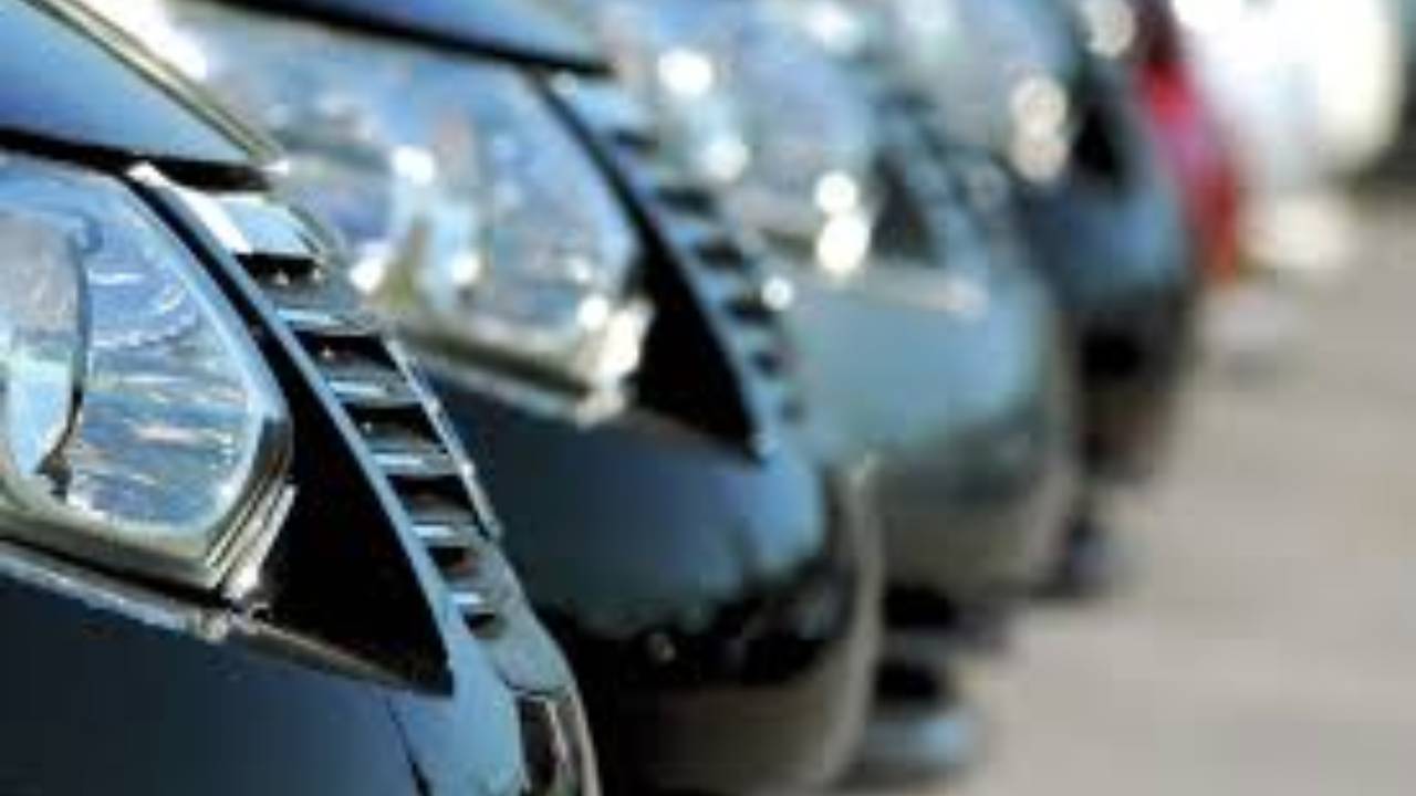 حصر 8 فرص للتوطين في معارض السيارات بنجران
