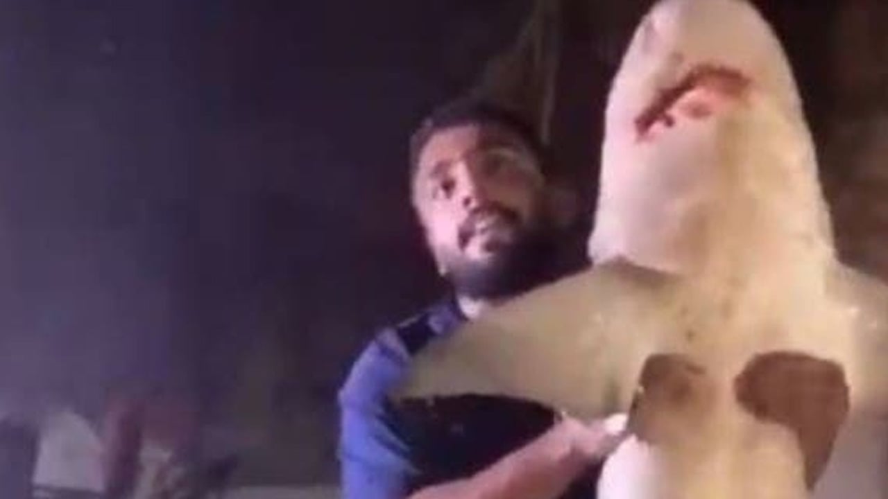 بالفيديو.. شاب يصطاد سمكة قرش بالصنارة في الدمام
