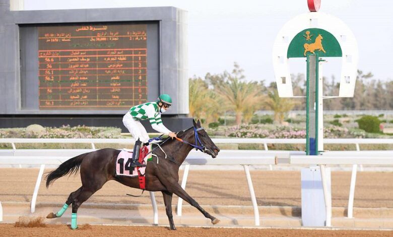 نادي سباقات الخيل يستحدث عددًا من البطولات.. ورئيس هيئة الفروسية ينوه بدعم القيادة لهذه الرياضة