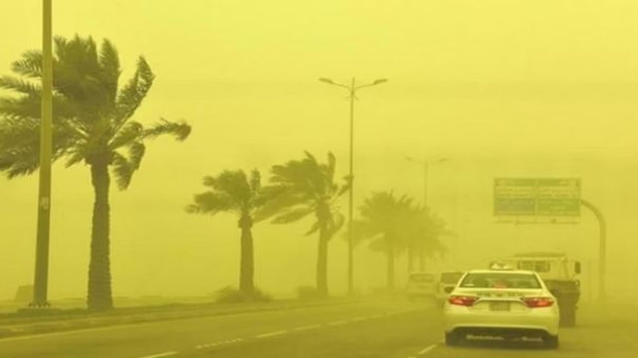 الحصيني: الغبار الزهري يؤثر على 3 مناطق.. توخوا الحذر
