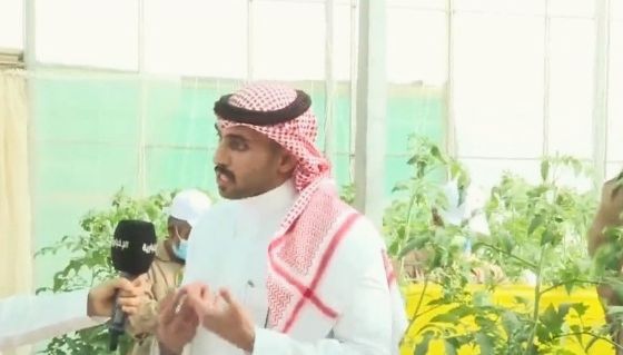 صاحب مزرعة: تقنية الزراعة المائية توفر 60% من المياه (فيديو)

