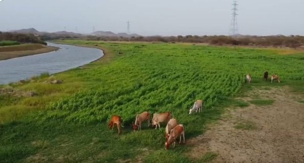 وادي جازان.. جمال ساحر ومقصد سياحي شهير جنوب المملكة 
