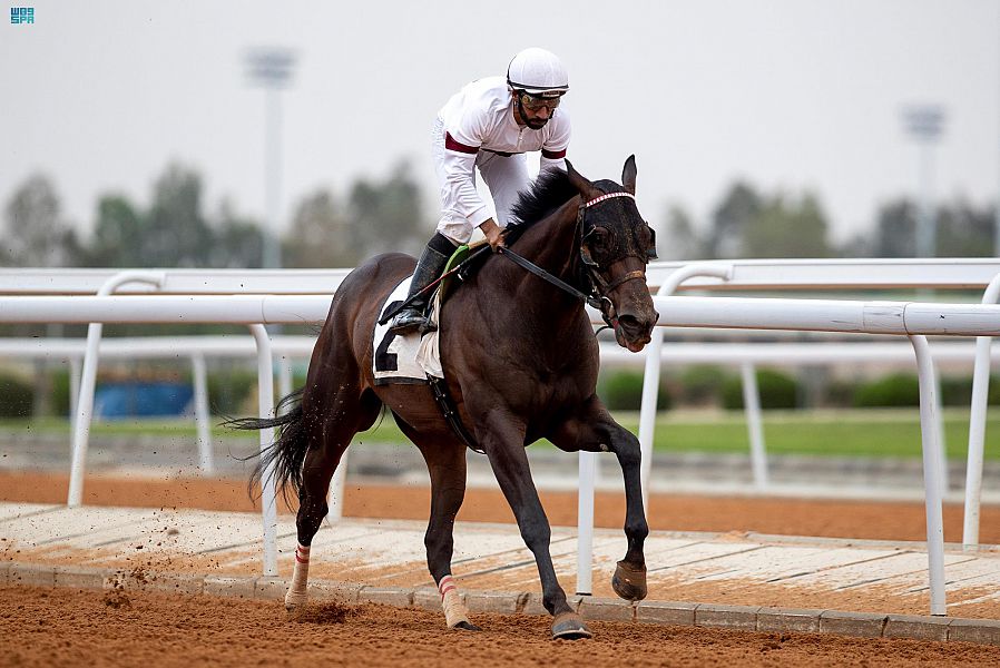 الجواد فراد سكواد يظفر بجائزة نادي سباقات الخيل التقديرية بموسم الطائف 2022