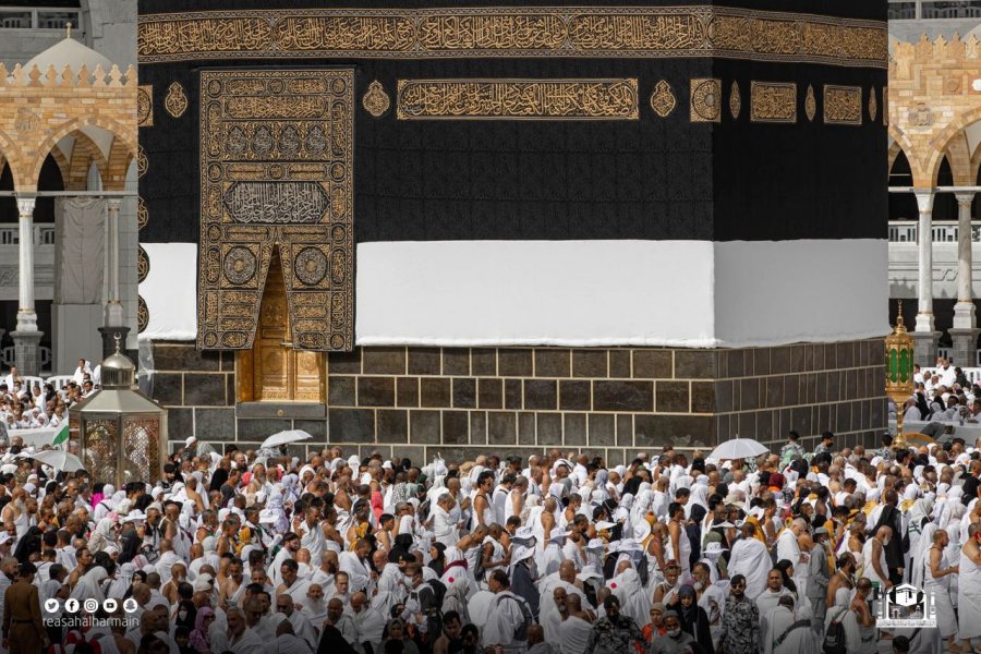 مصادر: 24% من مقاعد حجاج الداخل شاغرة.. و«الحج» تتيح التسجيل 
