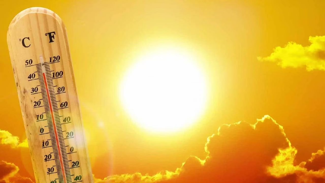 الأرصاد: الأحساء الأعلى حرارة بـ43 درجة.. وطريف والقريات الأدنى 

