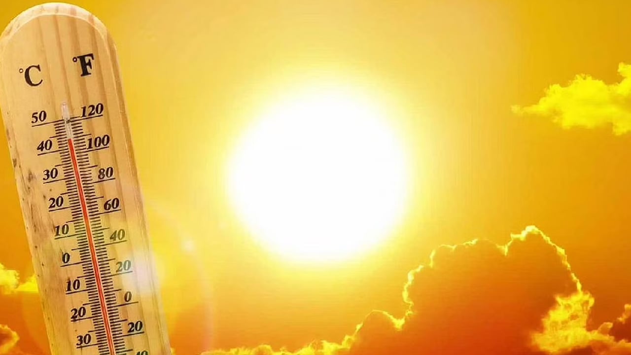 الأرصاد: 3 مدن الأعلى حرارة بـ46 مئوية.. وأبها الأدنى
