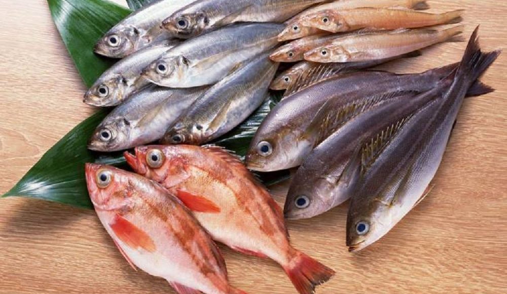 بالفيديو.. سمكة تسجّل سعرًا خياليًا في مزاد علني بالكويت 
