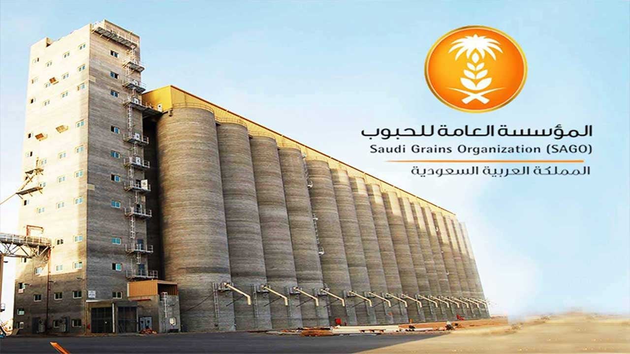 مؤسسة الحبوب: صرف 94 مليون ريال مستحقات الدفعة الثالثة لمزارعي القمح المحلي