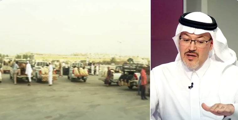 مدير الثروة الحيوانية: ارتفاع بسيط في أسعار المواشي هذا العام.. وحفر الباطن الأعلى إنتاجًا 

