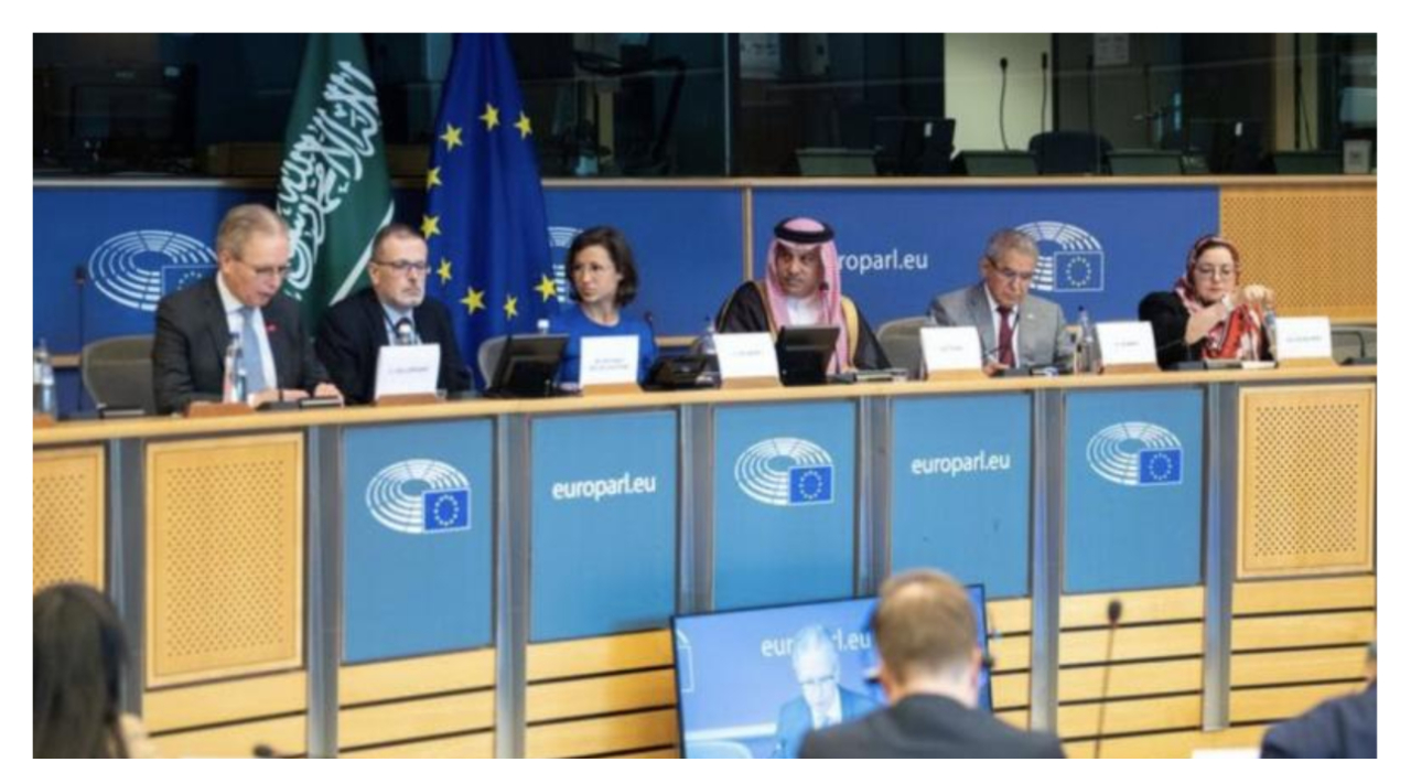 البرلمان الأوروبي: إعفاء السعوديين من التأشيرات سيحقق مصالح مشتركة
