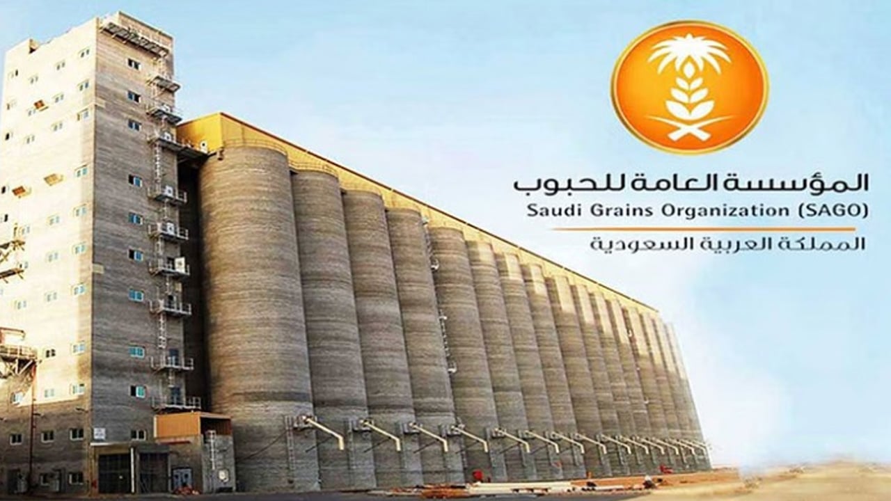 «الحبوب»: اعتماد صرف فرق سعر شراء القمح المحلي للمزارعين بأثر رجعي
