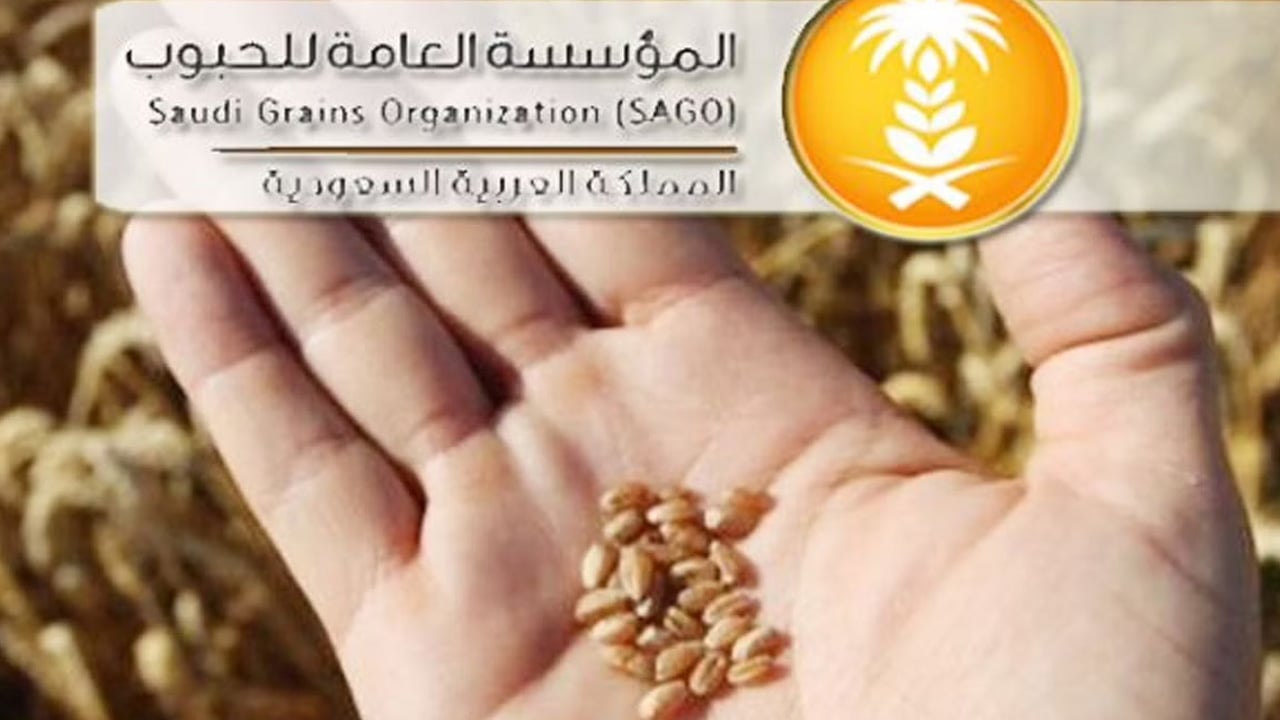المؤسسة العامة للحبوب تعلن صرف مستحقات الدفعة الخامسة لمزارعي القمح المحلي
