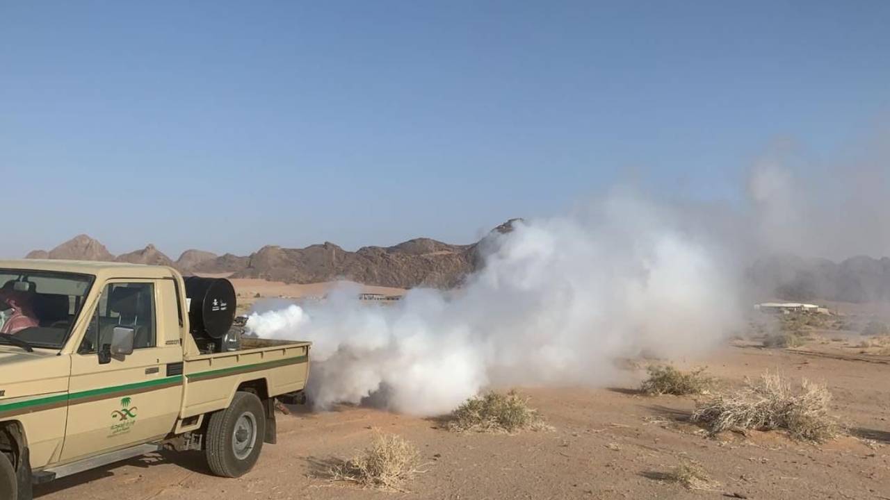 «صحة حائل» تواصل مكافحتها لذبابة الرمل المسببة لمرض الليشمانيا
