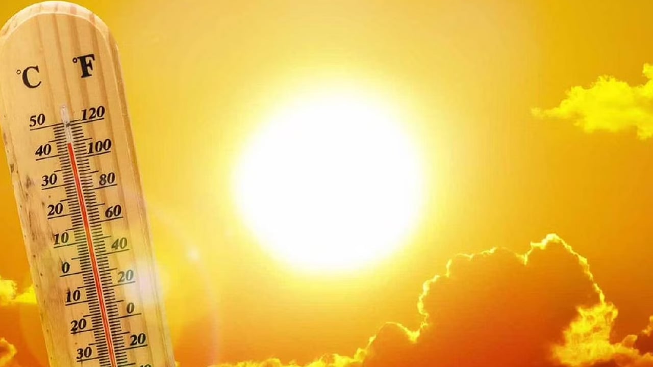 الأرصاد: الأحساء وحفر الباطن الأعلى حرارة بـ44 مئوية.. والباحة وأبها الأدنى
