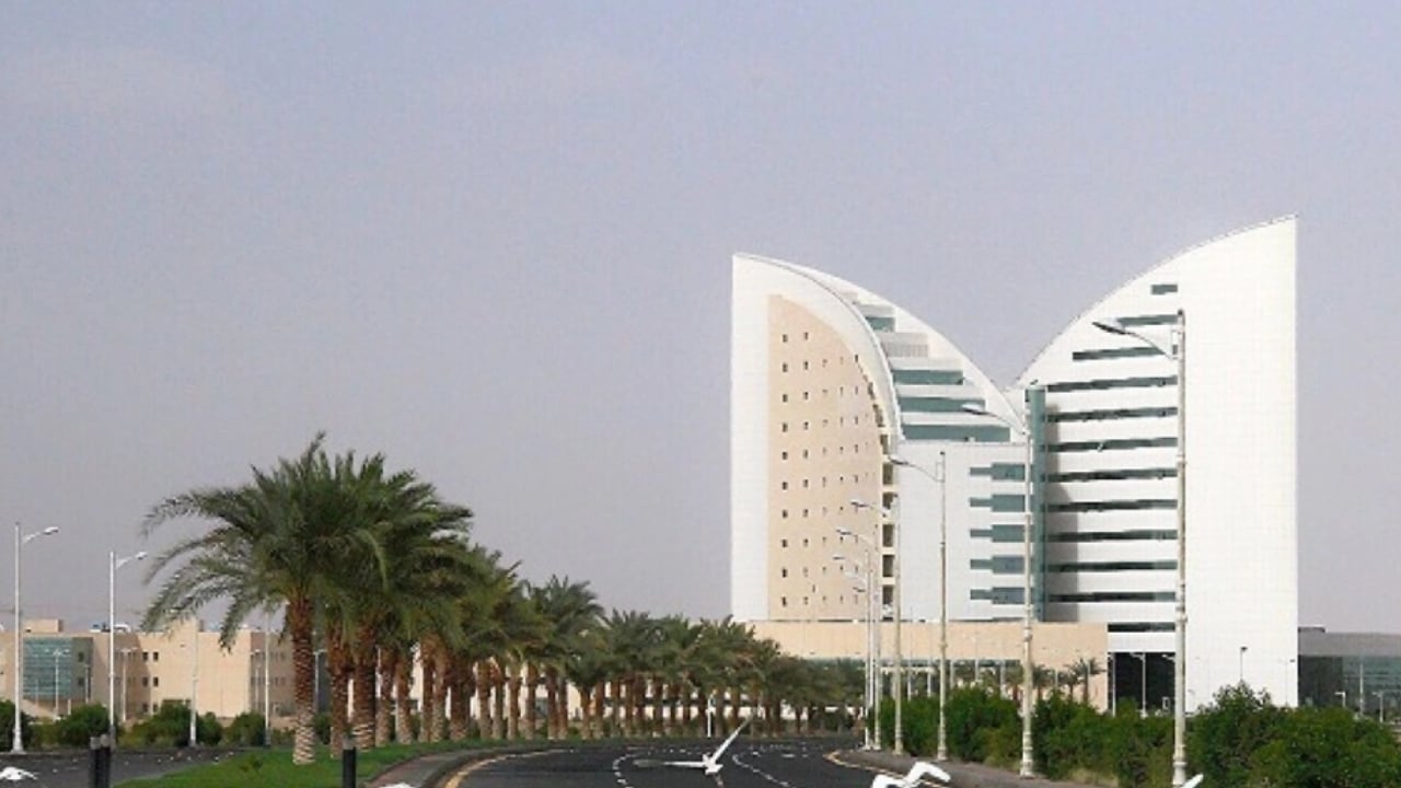 مجاني بالكامل.. جامعة نجران تطلق برامج التدريب الصيفي لطلاب الجامعة