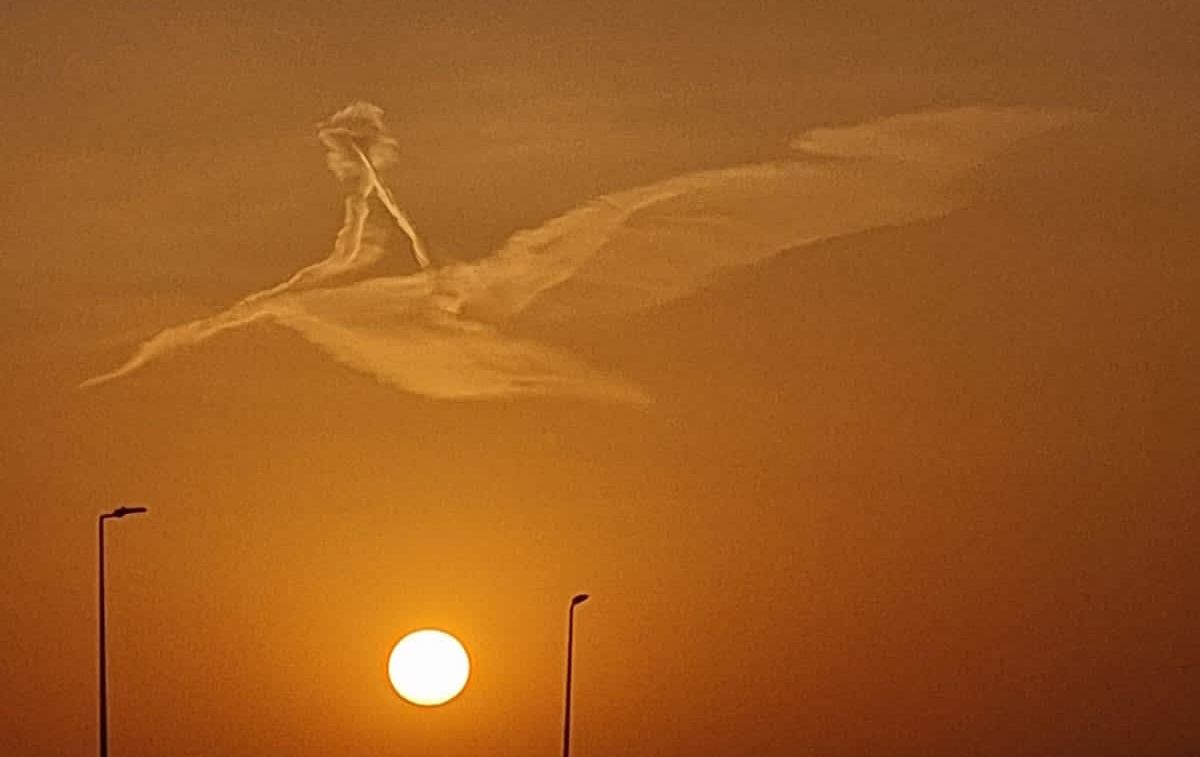 طفل على ظهر طير.. لقطات ساحرة لغيوم تزين سماء الرياض
