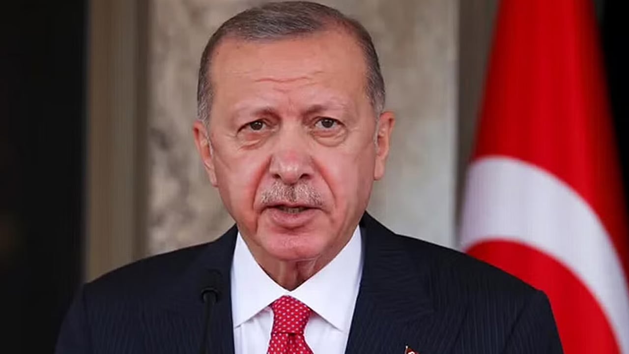 أردوغان: مساعي تطوير العلاقات مع السعودية والإمارات ومصر مستمرة
