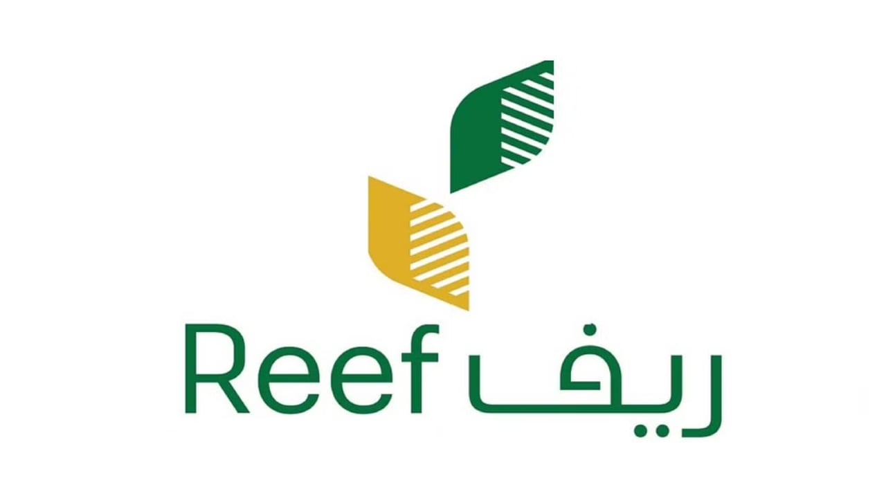 ما المشروعات المدعمة في برنامج «ريف»؟ 