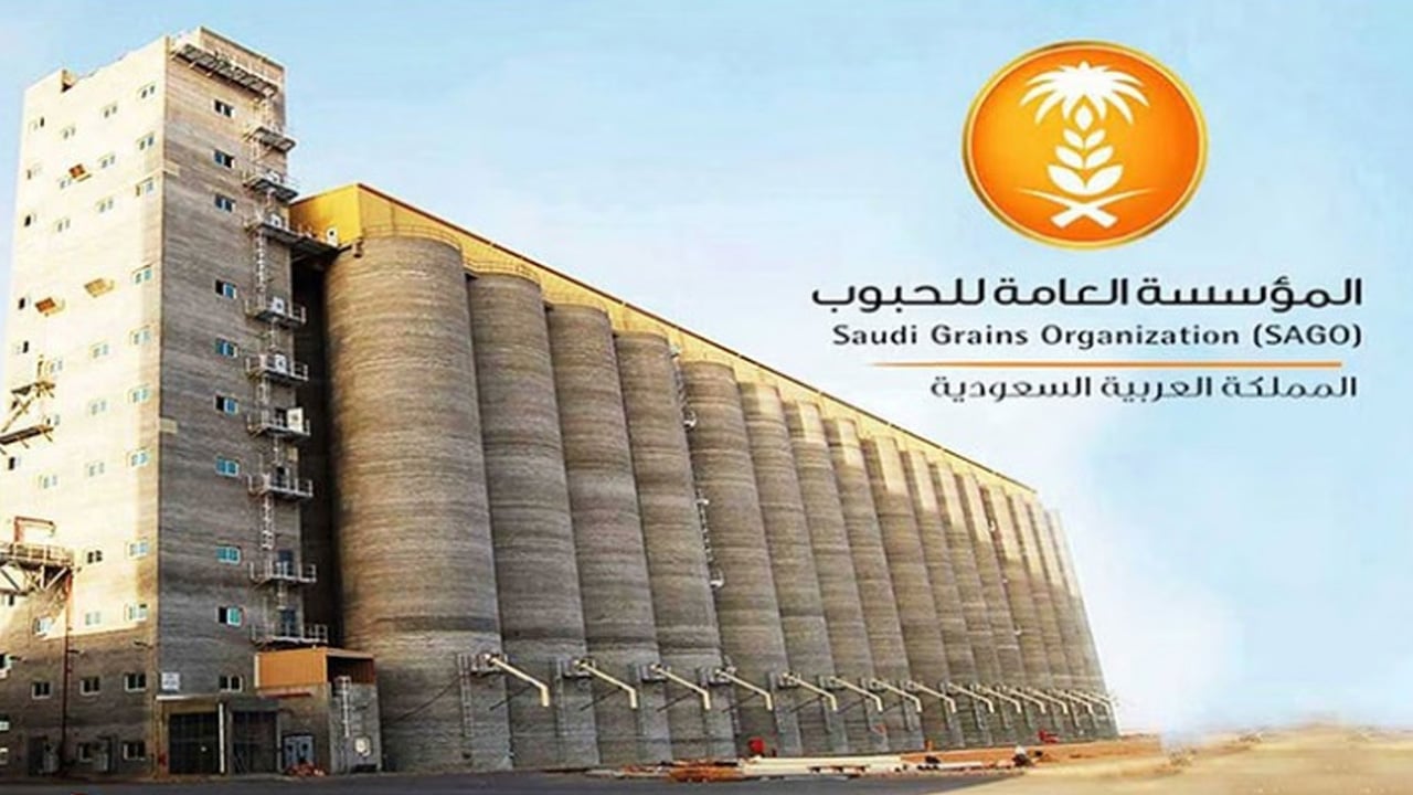 مؤسسة الحبوب: صرف 90 مليون ريال مستحقات الدفعة الثامنة لمزارعي القمح المحلي
