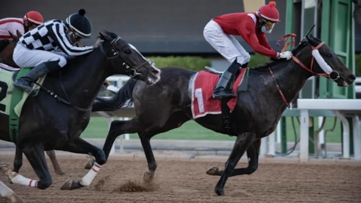 نادي سباقات الخيل يعلن قواعد اللباس ليوم كأس خادم الحرمين الشريفين 