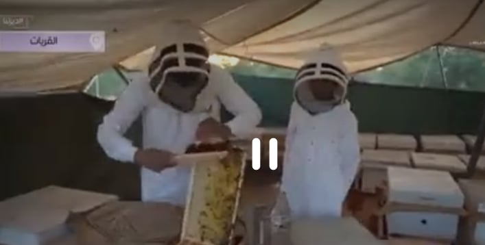 إبراهيم الشراري.. قصة نحال قضى 37 عامًا في إنتاج العسل (فيديو) 
