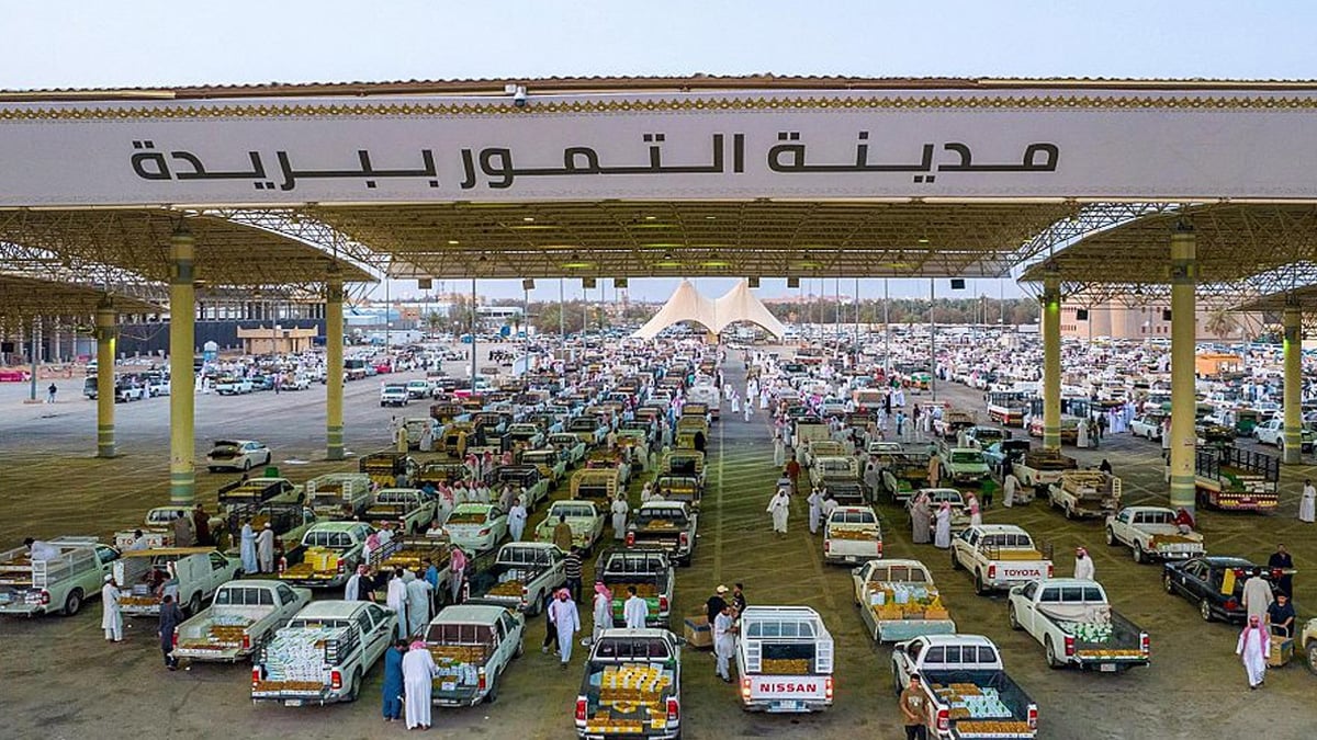بـ150 ريالًا للكرتون.. "السكري" الأكثر مبيعًا في مهرجان بريدة للتمور
