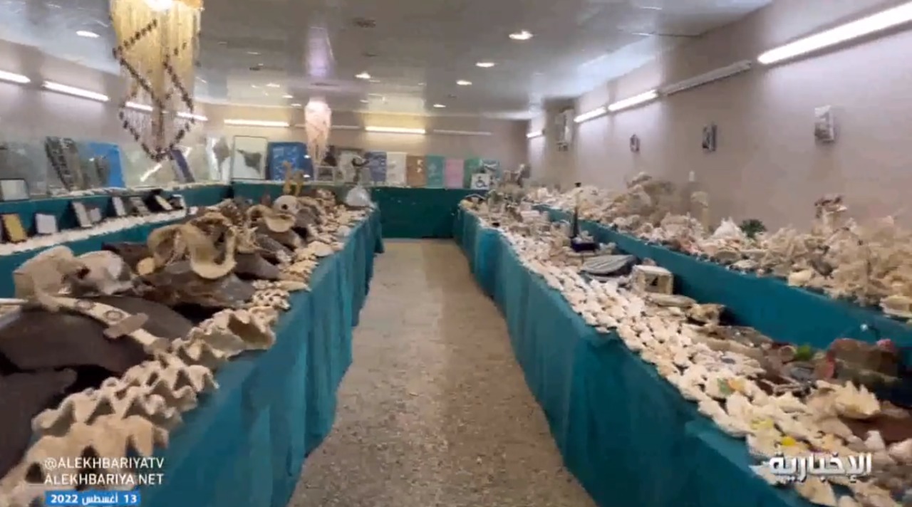 بالفيديو.. زوجان يحولان منزلهما لمتحف بحري يضم 30 ألف قطعة 
