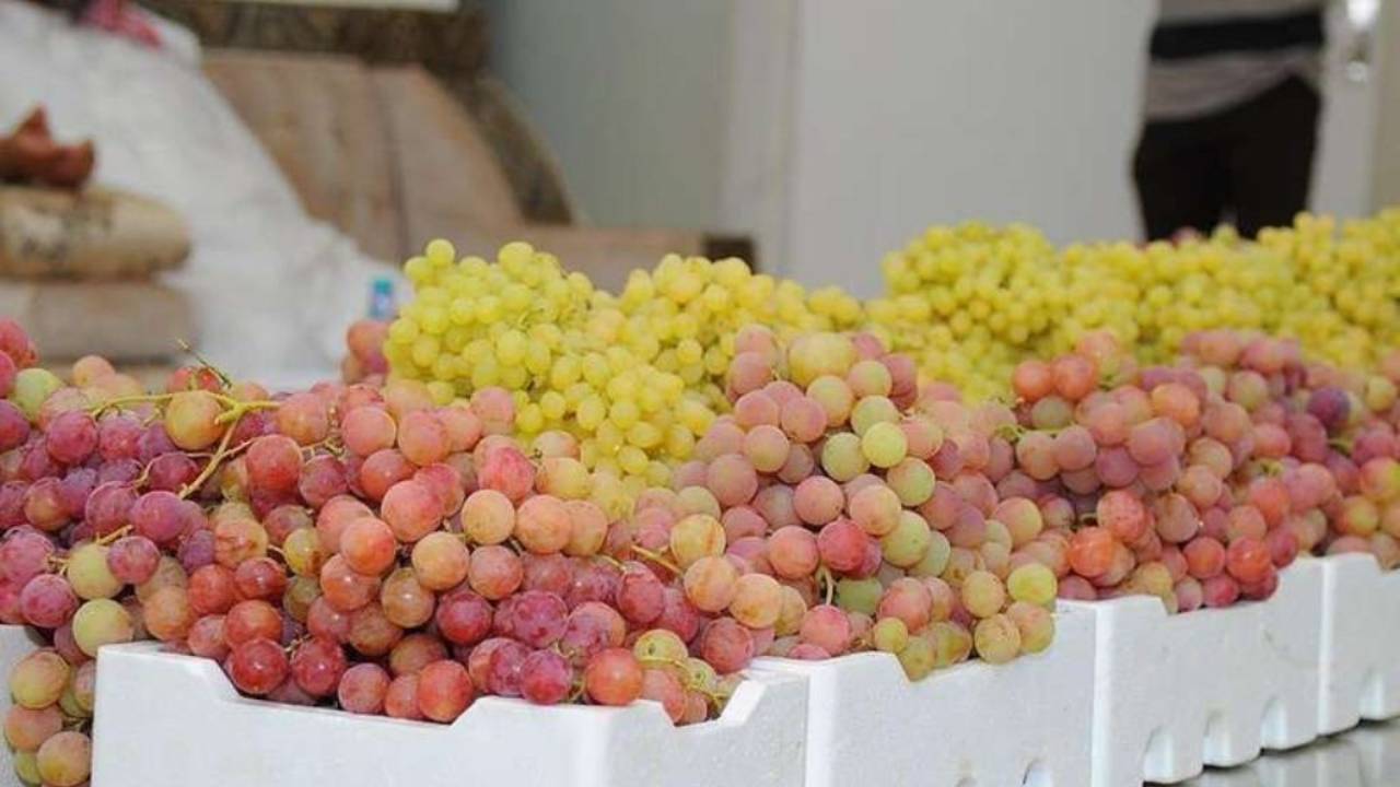 انطلاق مهرجان العنب بالقصيم غداً