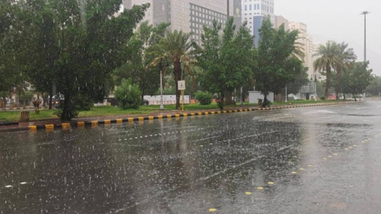 الأرصاد: أمطار الرياض غير اعتيادية في الصيف.. واحتمالية تكرارها وارد 
