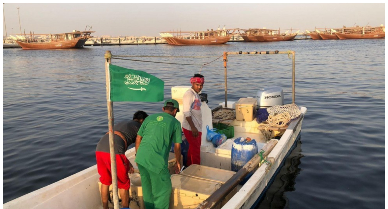 "بيئة جدة" تكثف جولاتها الرقابية على مرافئ الصيد