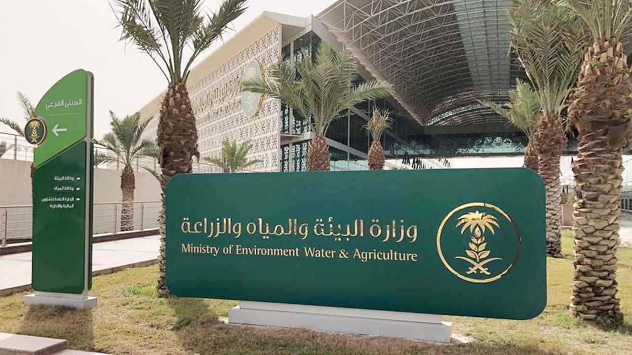 «الزراعة» توضح أبرز مناطق إنتاج التين ومواسمه في المملكة