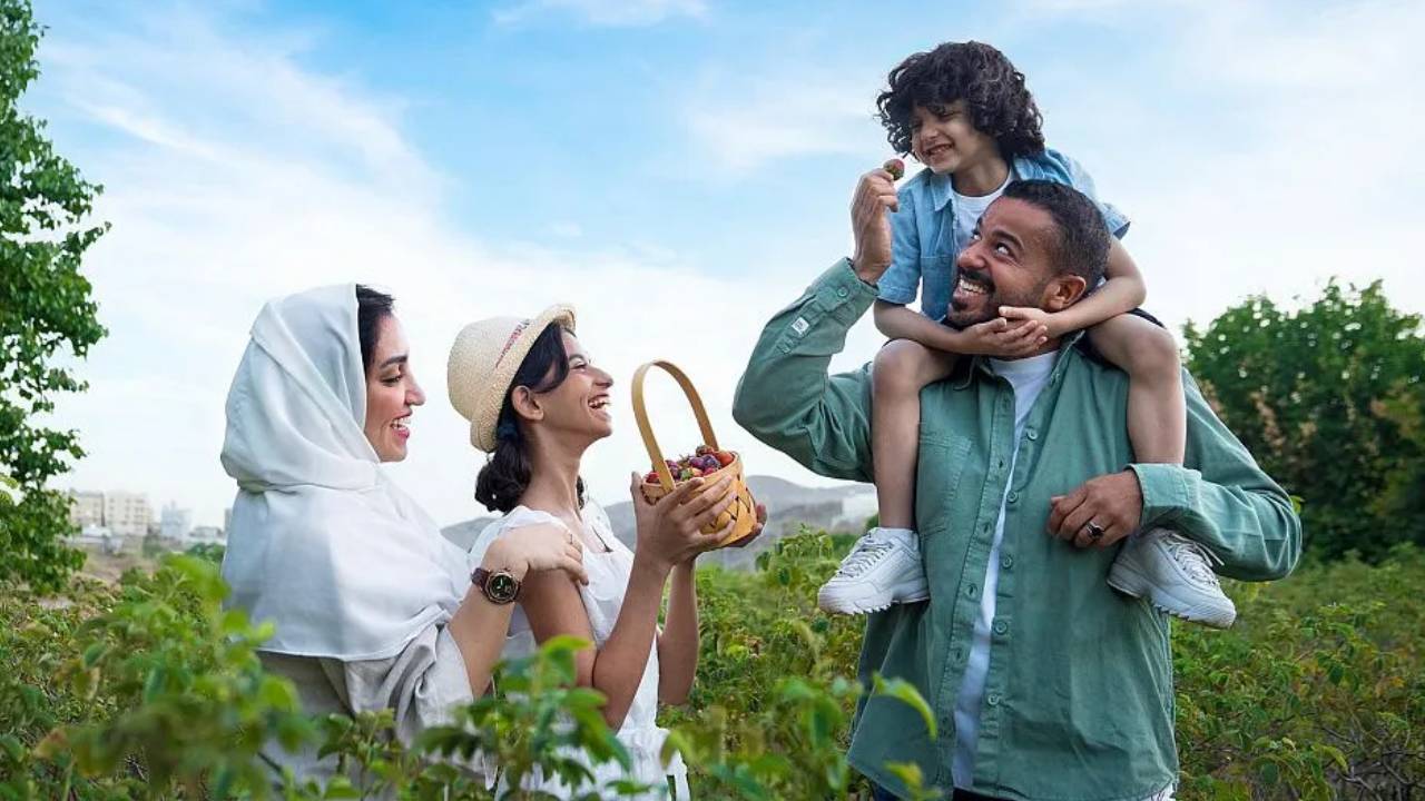 صيف السعودية.. فعاليات جبلية منوعة وسط الأجواء الباردة في مرتفعات الطائف وعسير 