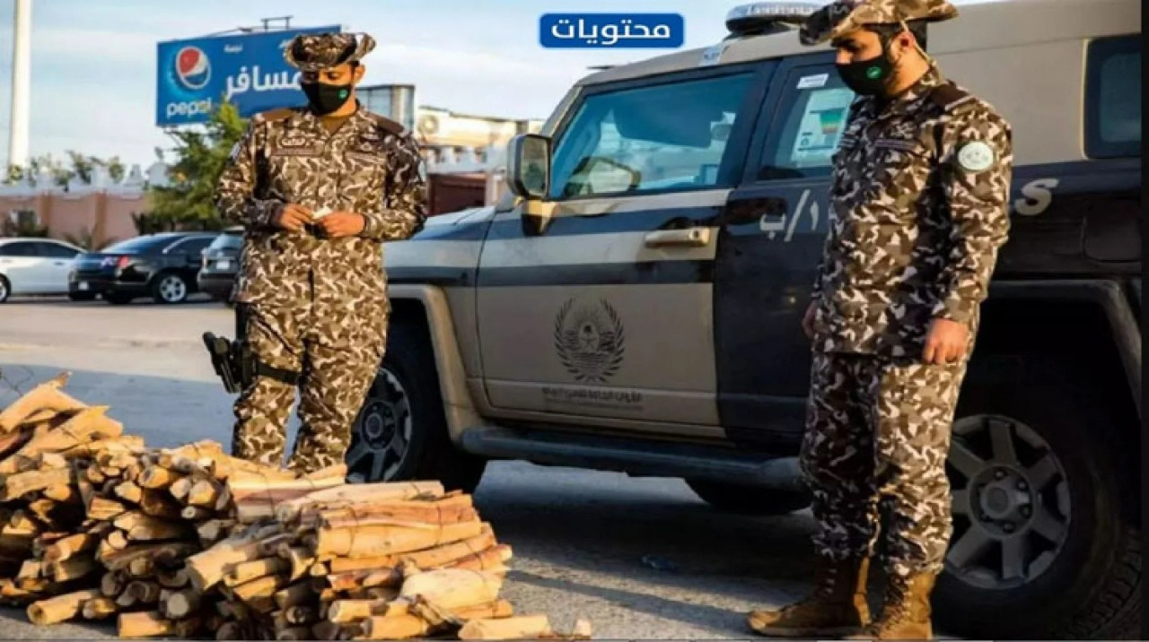 قوات الأمن البيئي تضبط 14 مخالفًا لنظام البيئة 

