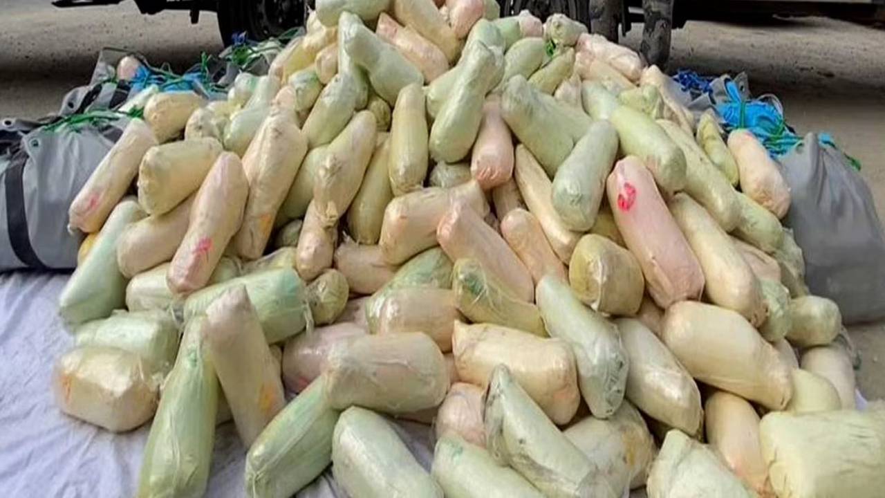 ضبط 5 يمنيين بحوزتهم 48 كيلوجرامًا من القات المخدّر بعسير