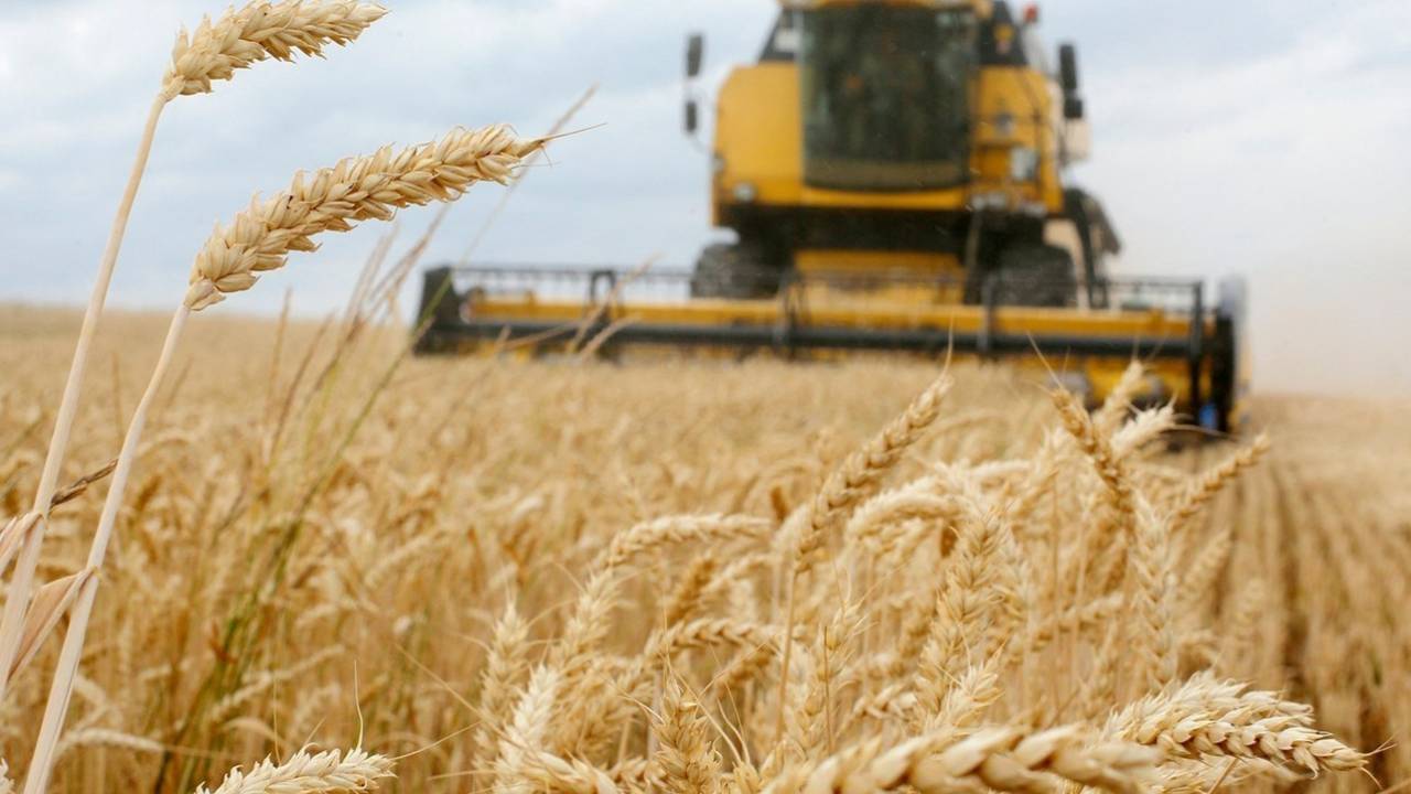 ماكرون يطالب بوتين بالحرص على استمرار اتفاق تصدير الحبوب الأوكرانية