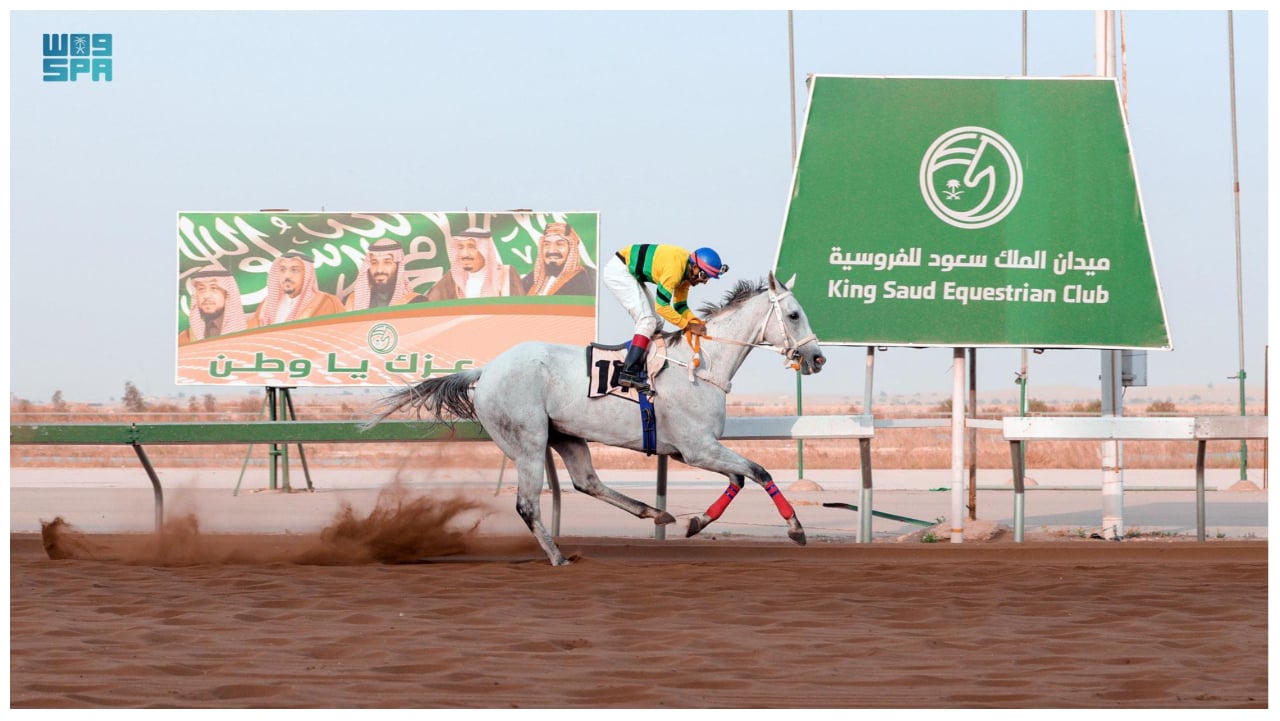 اليوم.. انطلاق أول سباق لميدان الملك سعود للفروسية بالقصيم 
