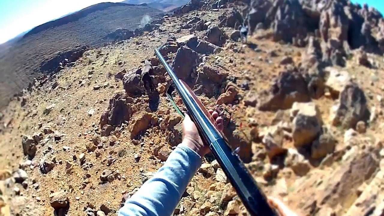 
تنمية الحياة الفطرية: 7 قواعد للصيد البري
