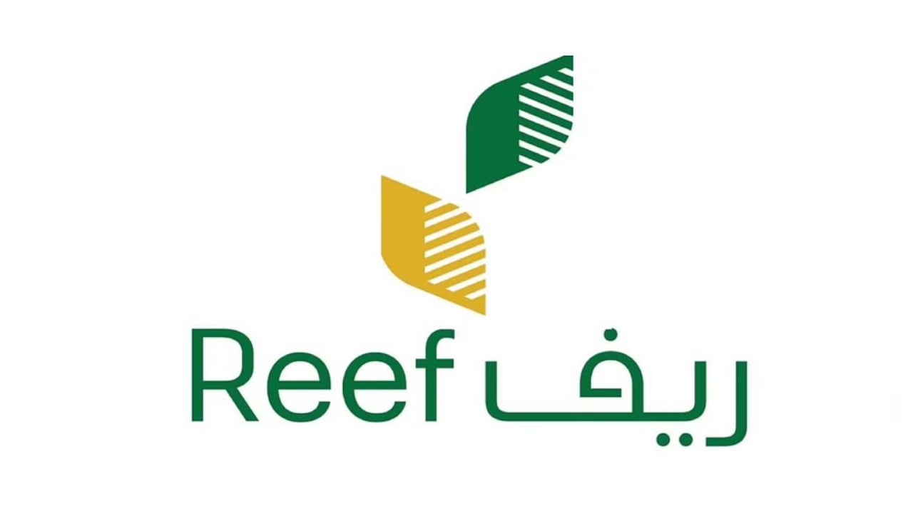 هل يؤثر تمهير على دعم ريف؟ البرنامج يُجيب 