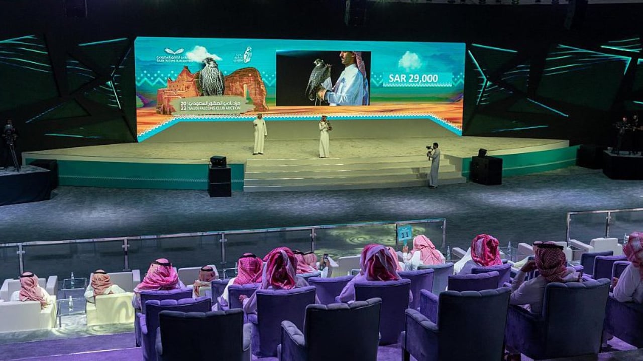 مزاد نادي الصقور السعودي.. بيع صقرين بـ ١٣٠ ألف ريال في الليلة التاسعة