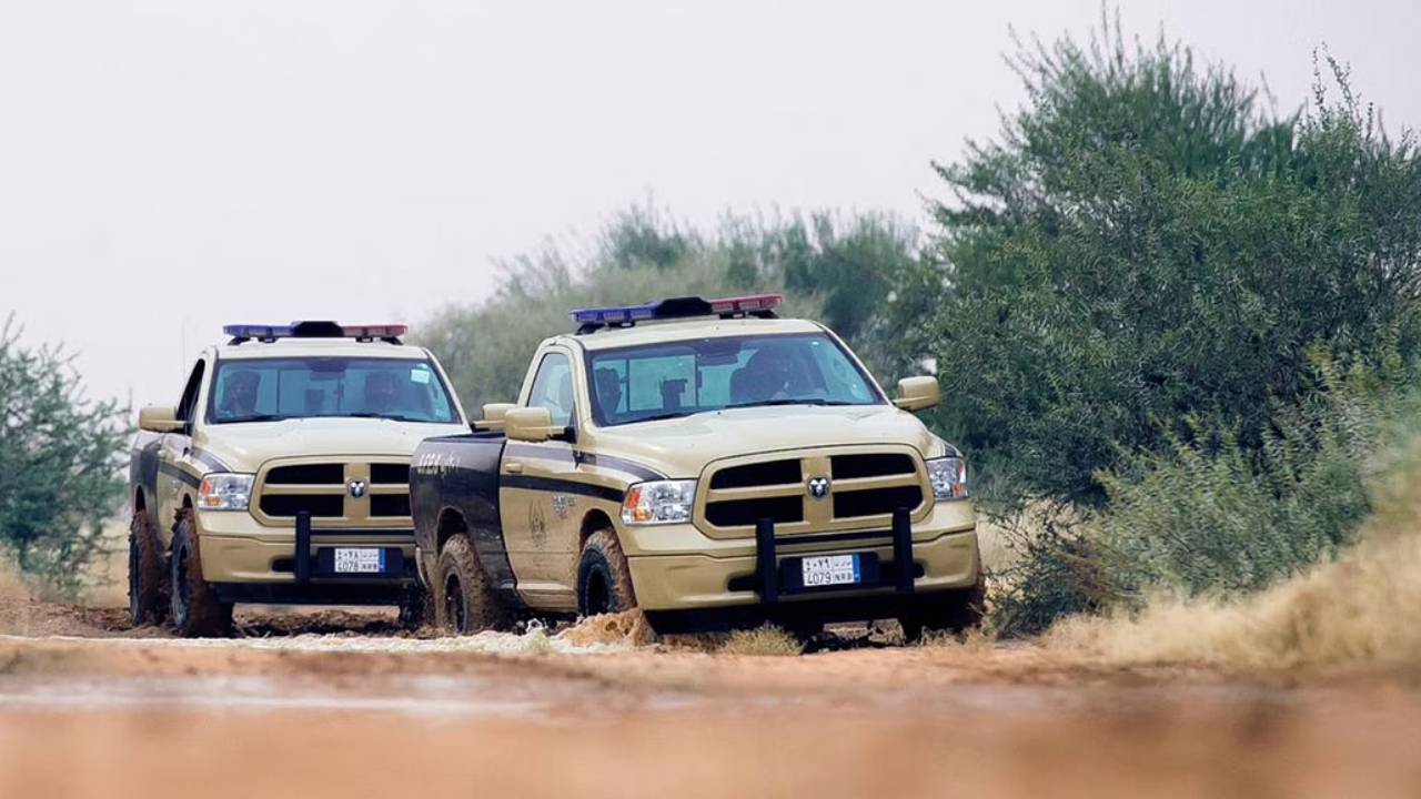 القبض على 4 مواطنين لاتجارهم بكائنات فطرية في منطقة عسير