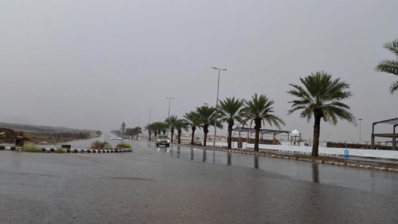«الأرصاد» عن طقس الجمعة: رياح متربة وسحب رعدية على 7 مناطق
