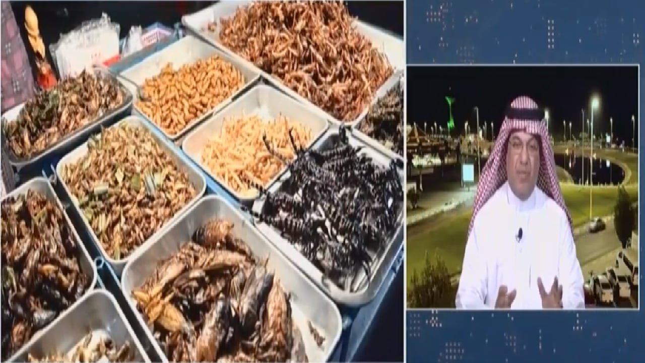 حشرات صالحة للأكل.. طبيب مناعة: «الجراد» أكثر فائدة من الأسماك ولحوم الأبقار 
