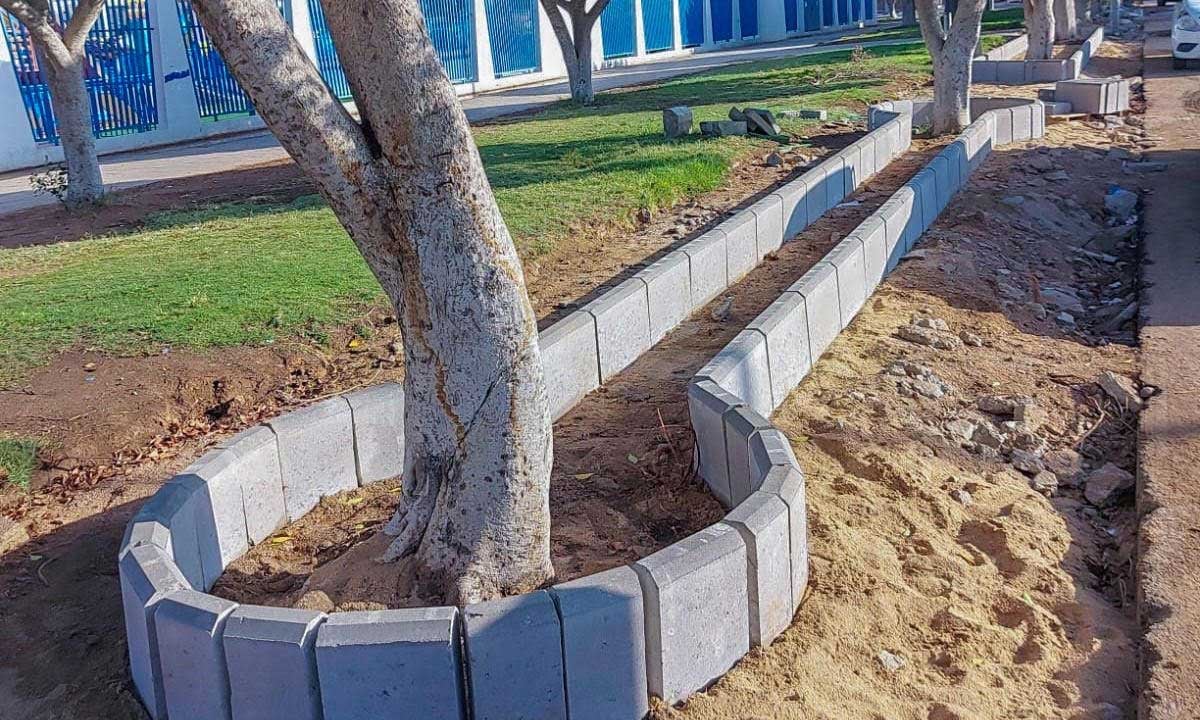 رصف 3 آلاف متر مربع بشوارع جديدة في الطائف