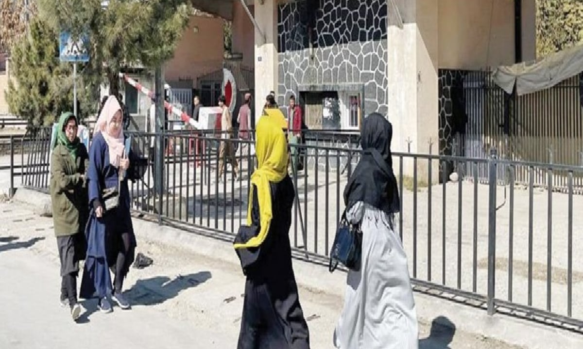 طالبان تحظر التعليم الجامعي للفتيات في أفغانستان