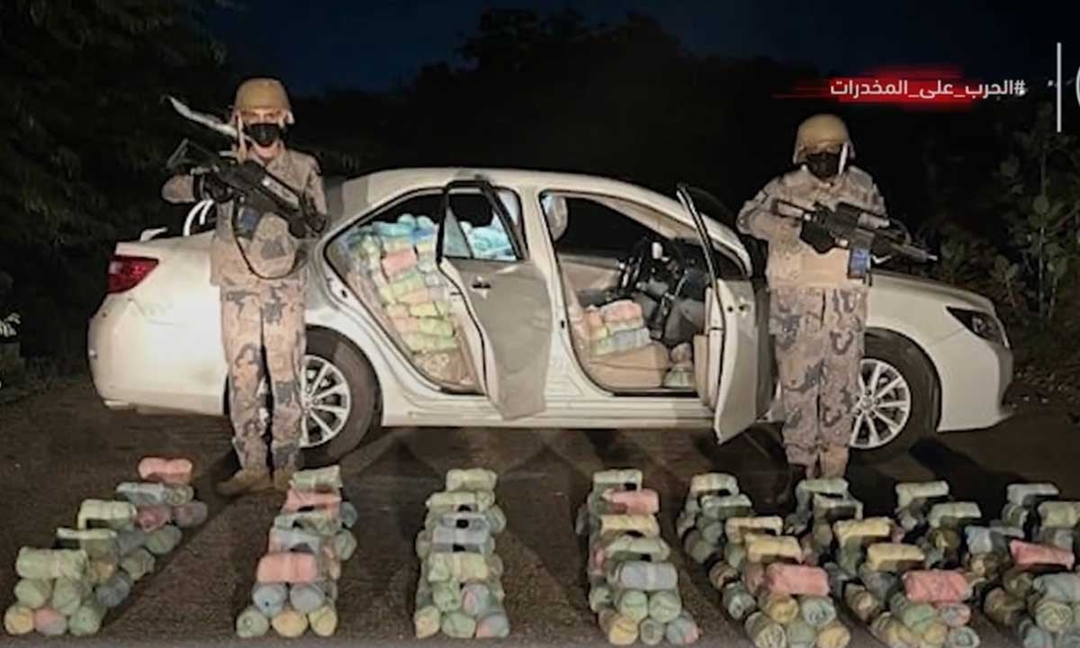 إحباط تهريب 29.2 طن من القات وطن و766 كيلوجرامًا من الحشيش بـ 4 مناطق