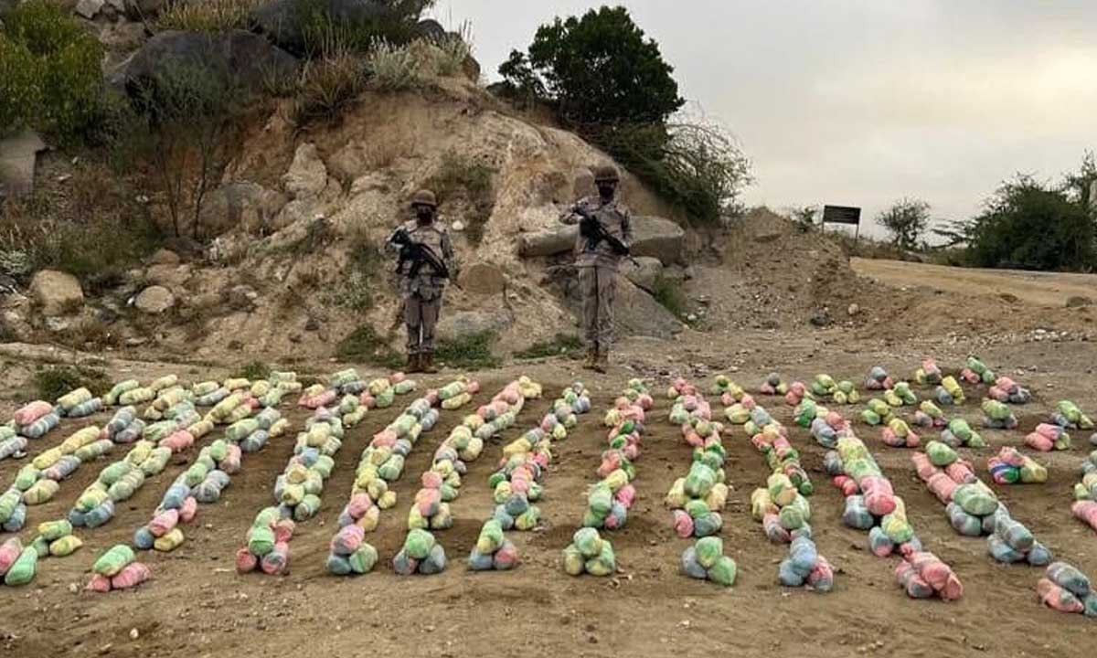 
حرس الحدود يحبط تهريب 18.2 طن قات وأكثر من 1.5 طن حشيش