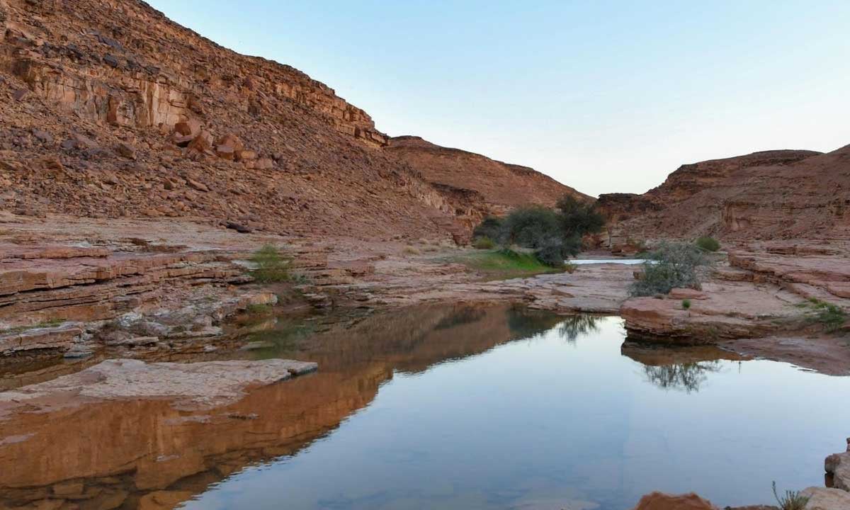 سد الرِّاشدة ببادية تبوك.. أكبر السدود الطبيعية بالمنطقة ورمز للتكافل الاجتماعي