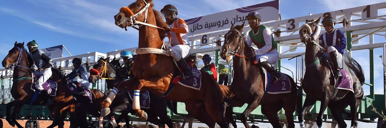 ميدان فروسية حائل ينظم اليوم حفل سباقه الرابع بمشاركة 57 جوادًا